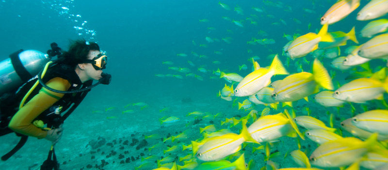 PADI Instructor